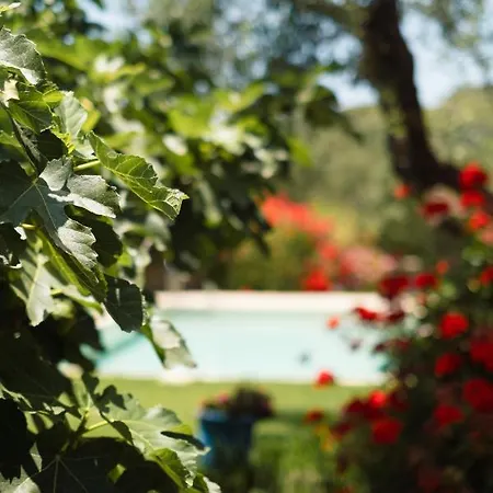 Villa Gerakas Stone House Vasilikí